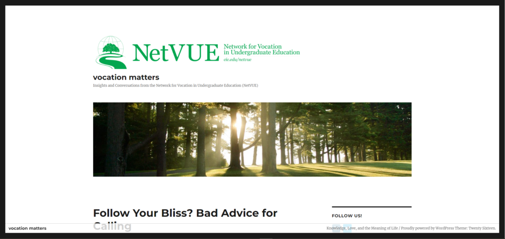screenshot of NetVUE blog