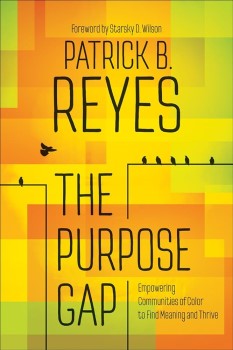 Book cover of "The Purpose Gap".