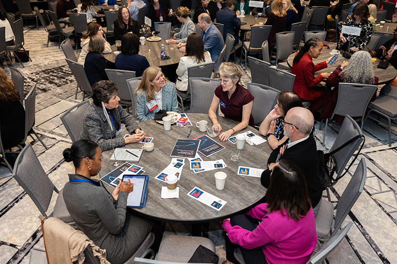 participants discussing topics at roundtables